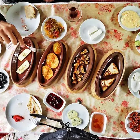 Country Kirkpinar فيلة